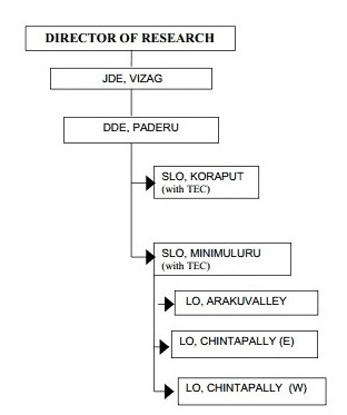 Extension Non Traditional States