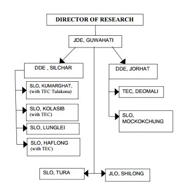 Extension Non Traditional States