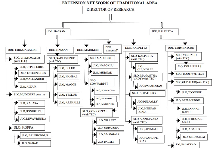 ExtensionTraditionalArea
